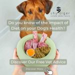 The Impact of Diet on Your Pet’s Health