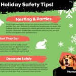 Pet Safety During the Holidays