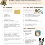Emergency Preparedness: Keeping Your Pets Safe in a Crisis